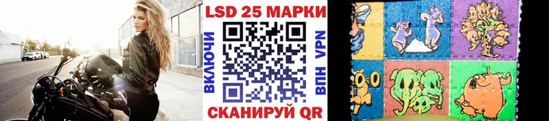 omg маркетплейс  Каргополь  Марки 25I-NBOMe 1,8мг  что такое  