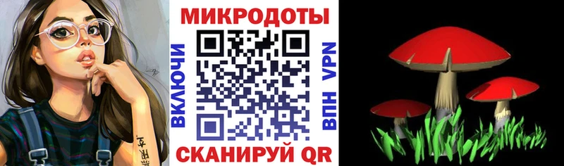 Галлюциногенные грибы Psilocybine cubensis  Каргополь 