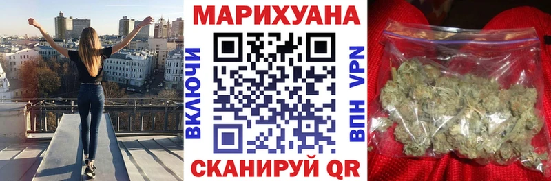 Шишки марихуана план  наркотики  Каргополь 